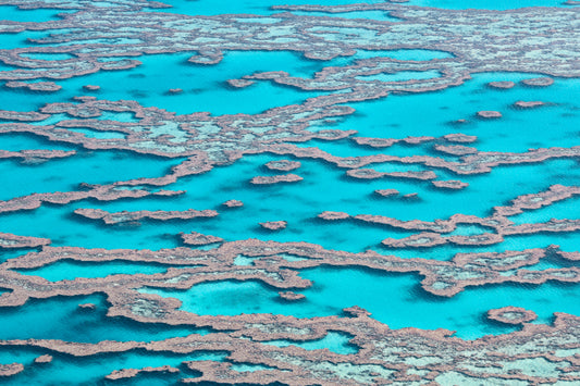 Trend Ripple - Find the most exclusive pieces of beachwear and active wear in Australia. Photo: Great Barrier Reef by Carolina Gomes